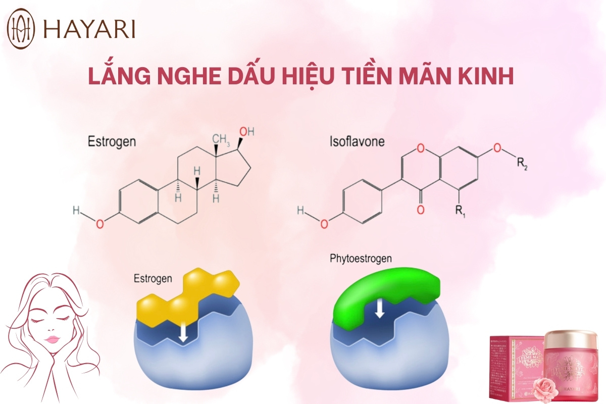 Những dấu hiệu phụ nữ tiền mãn kinh cần lắng nghe?
