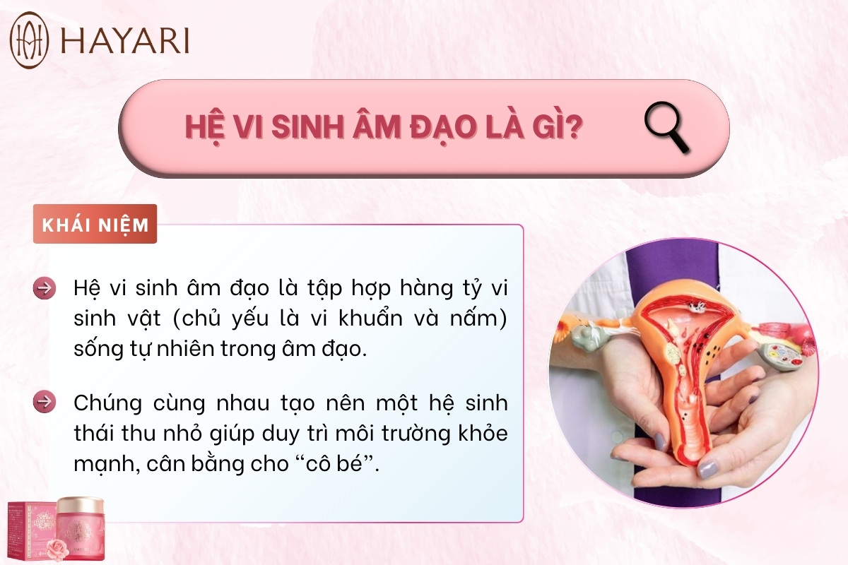 Hệ vi sinh âm đạo là gì?