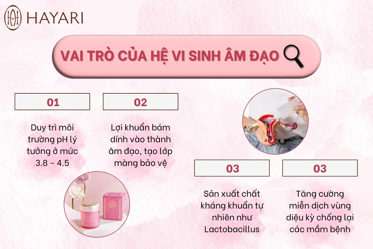 Tại sao vai trò của hệ vi sinh âm đạo lại quan trọng đến vậy?