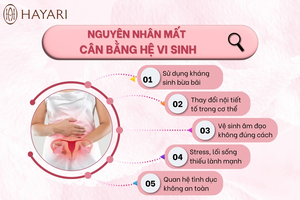 Nguyên nhân khiến hệ vi sinh âm đạo rối loạn?